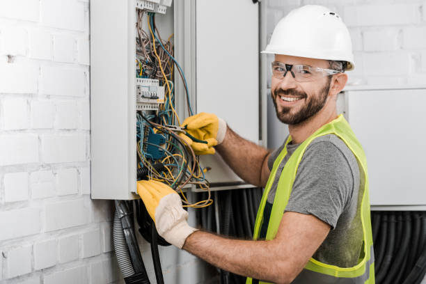Best Electric Panel Repair  in Western Springs, IL